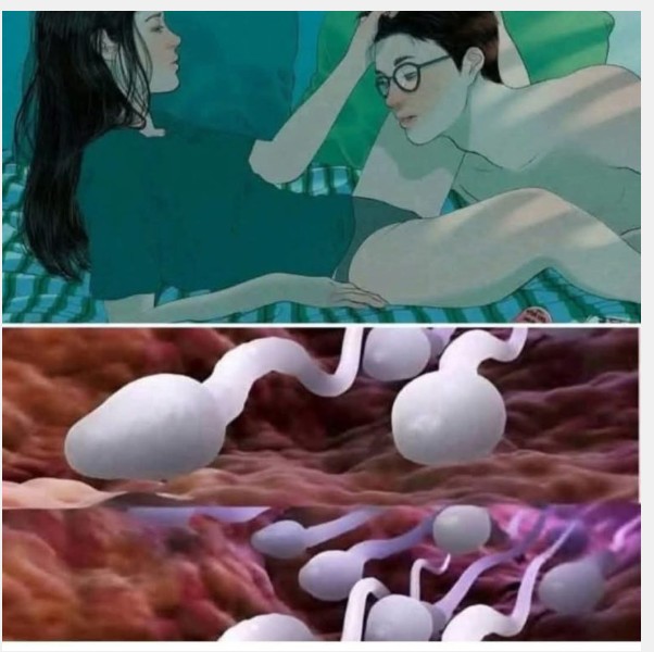 🛑 Studies reveal that swallowing your partner’s semen…see more